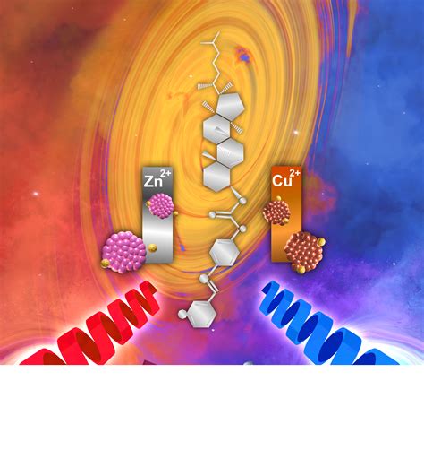 Institute of Nano Science and Technology
