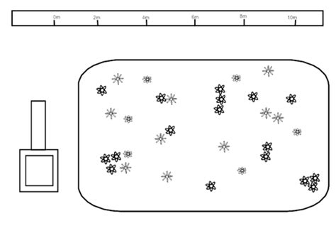 Image result for Ecological Sampling Using a Line Transect