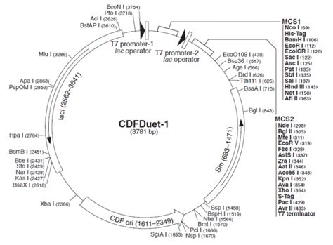 Pcdf Vector 的图像结果