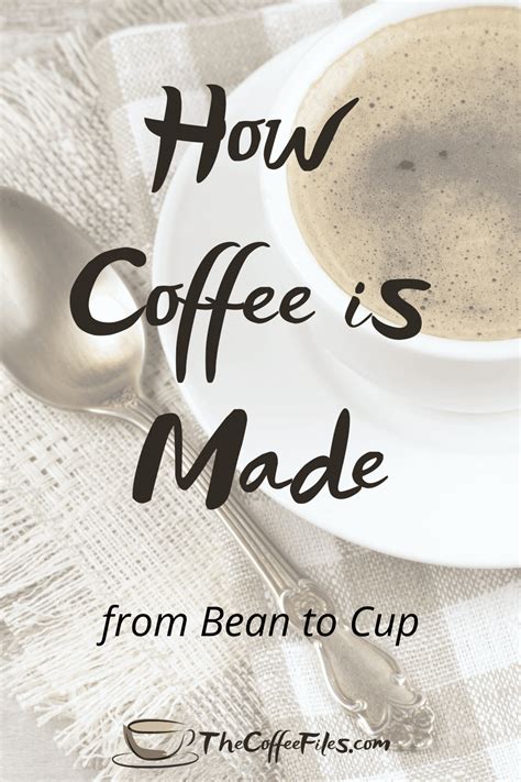 How They Make Coffee 的图像结果