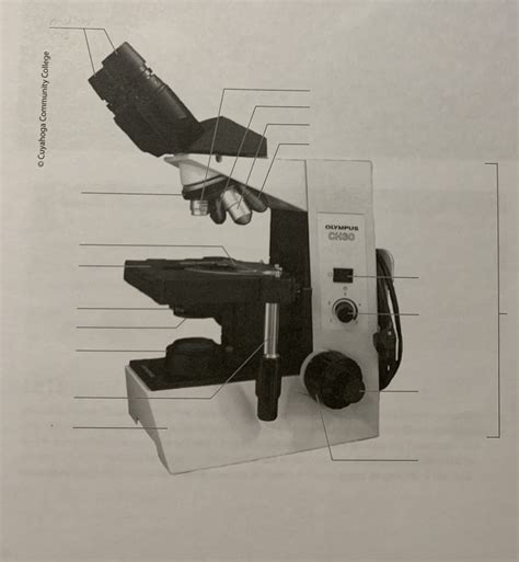 Image result for Compound Microscope Assembly
