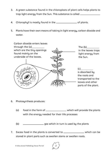 Classification Science P6 的图像结果