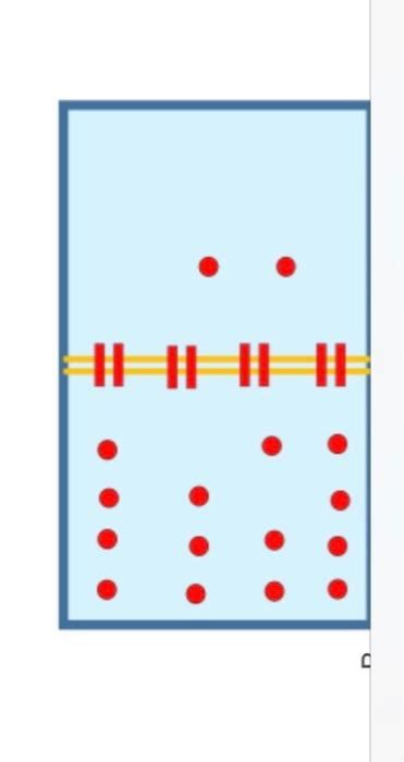 Image result for Concentration Gradient Illustration