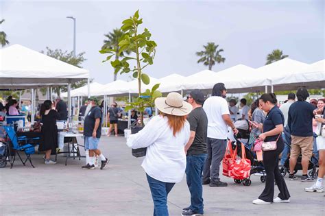 Luxury Homes in McAllen TX | Tres Lagos Master-Planned Community ...