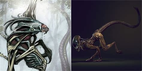 Image result for Alien Xenomorph Life Cycle