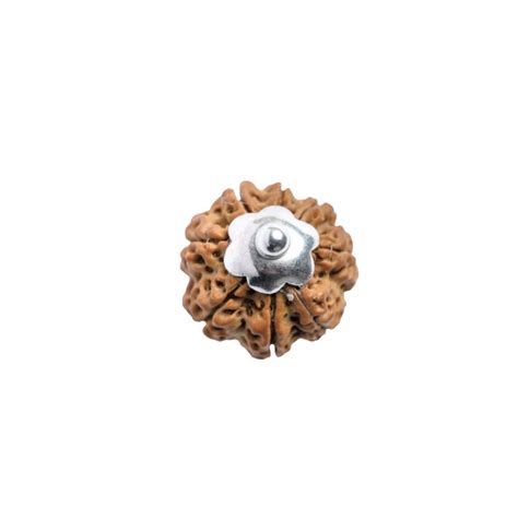 8 Mukhi Rudraksha Silver Capping Pendant ( Nepali ) – Prinjal Jewels