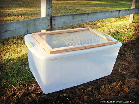 Easy Diy Chick Brooder at Ryan Mann blog