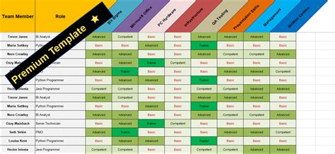 Excel Competency Matrix 的图像结果