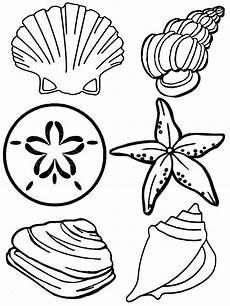 malvorlagen meerestiere malvorlagen meerestiere luxus free printable seashell malvorlagen meerestiere malvorlagen meerestiere luxus free printable seashell