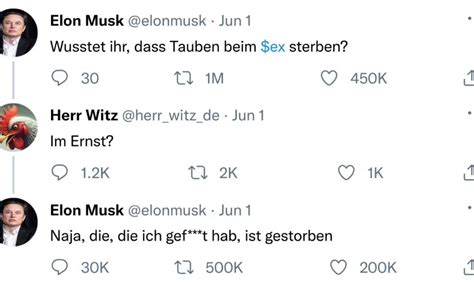 Die 15+ besten Tauben Memes - Schlechte Witze