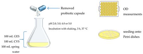 Effect of Simulated Gastrointestinal Tract Conditions on Survivability ...