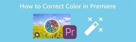 Image result for Premiere Pro Color Correction Tutorial