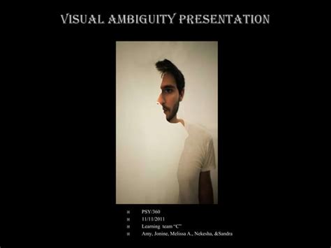 Image result for Visual Ambiguity Examples