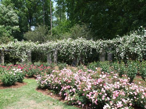 Raleigh, NC Municipal Rose Garden Wedding Venue