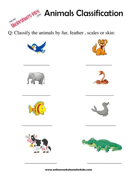 Animal Classification Worksheet 的图像结果
