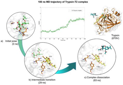 Molecular Docking and In Vitro Studies of Ochratoxin A (OTA ...