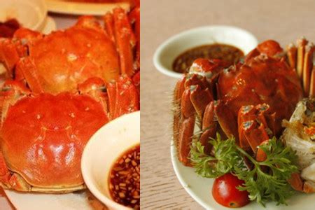 【煮螃蟹时间】【图】煮螃蟹时间需要多久 注意这三点吃到美味佳肴_伊秀美食|yxlady.com