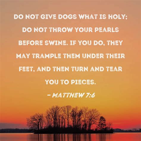 Matthew 7 6 Meaning