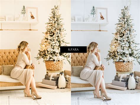 12 x Modern Christmas Presets, Interior Presets, Cold Presets (xmp/acr ...