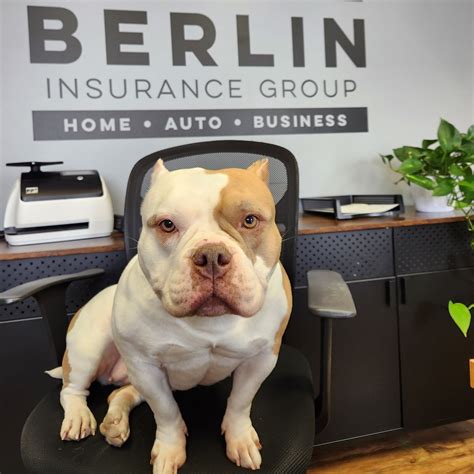 Berlin Insurance Group (@berlininsurance) • Instagram photos and videos