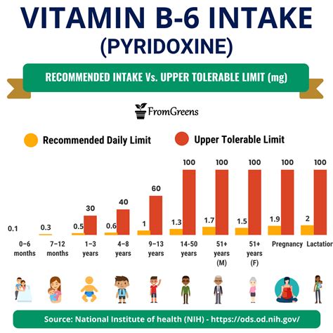 Recommended Daily Intake Of Vitamin B6 (Pyridoxine) For All Age Groups