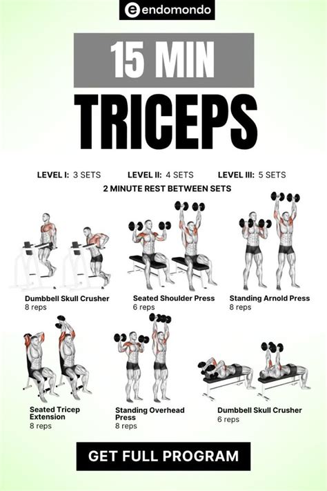 Image result for Tricep Workout Routine