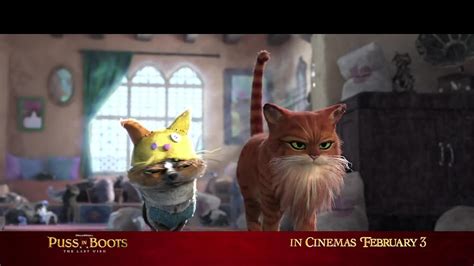 Cats Tees 的图像结果