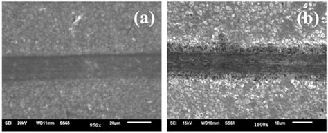 Micromachines | Special Issue : Nanoparticles in Biomedical Sciences