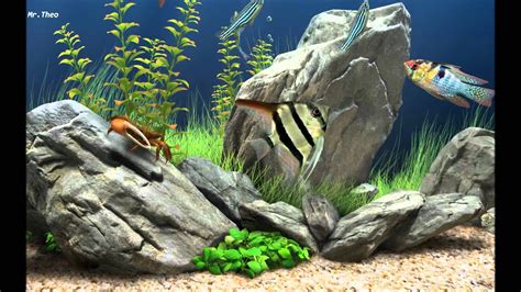 Bildergebnis für youtube screen savers background aquarium