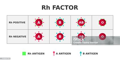 Image result for Rh Negative Targeted