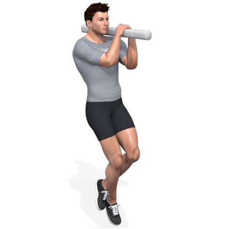 Image result for Pull Up Side View