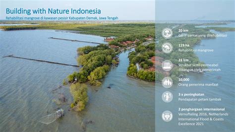 Mangrove dan Adaptasi Perubahan Iklim di Kawasan Pesisir (Mangroves and Climate Change ...