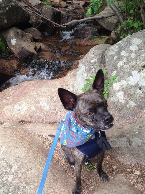 Maxwell Falls Hike | Nicole Wilker