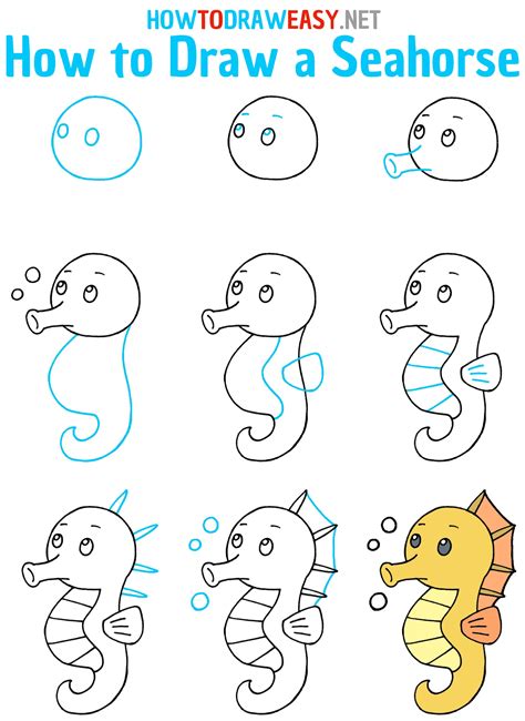How To Draw A Seahorse Create Seahorse Art NWF | Ranger Rick