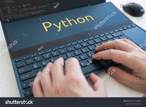 Image result for Tipical Python Programmer