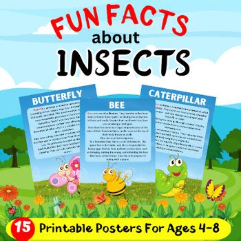 Image result for Insect Facts