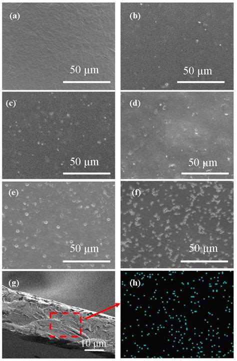 ZIF-67 Incorporated Sulfonated Poly (Aryl Ether Sulfone) Mixed Matrix ...