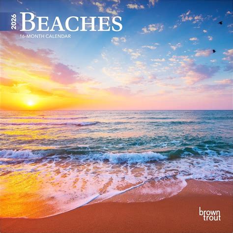 Beaches 2026 7 X 14 Inch (Hanging) Monthly Mini Wall Calendar ...