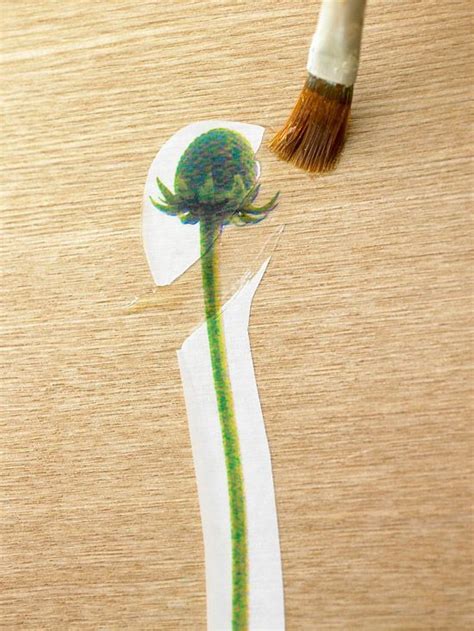 Nature Design Using Color Paper 的图像结果