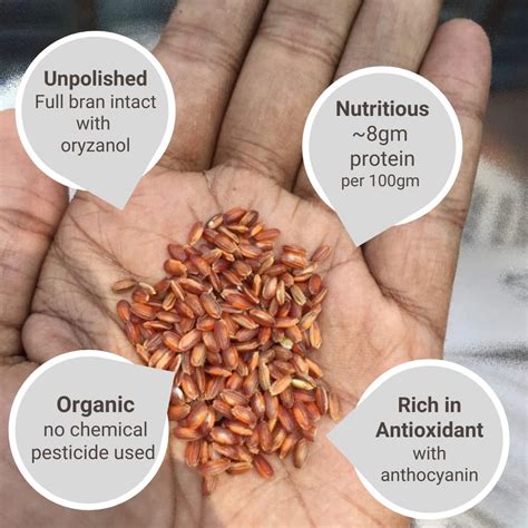 Organic Red Rice | Sathi | Raktashali | Rajamudi | Navara Rice (5 KG P ...