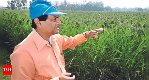 The legend of kalanamak rice | India News - Times of India