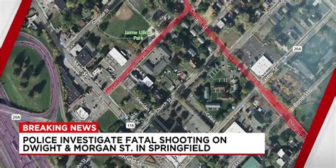 Image result for Springfield Waypoint Shooting
