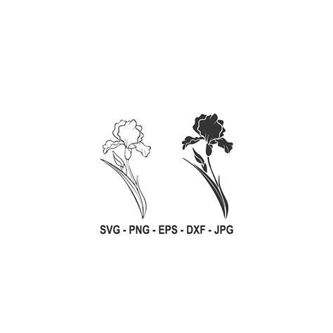 Iris flower svg,Iris silhouette,Instant Download,SVG, PNG, E | Inspire Uplift