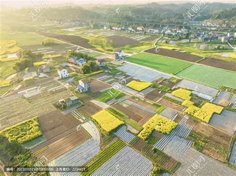 【在希望的田野上】田园变公园 田园综合体绘出振兴好风景 -渝中新闻网