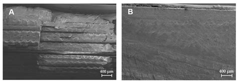 3D Printed, Single-Use Bioreactor with Integrated Inline Sensors for ...