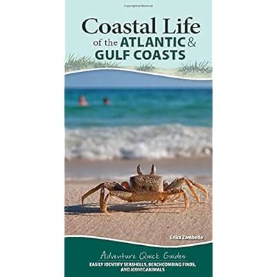 Buy Coastal Life of the Atlantic and Gulf Coasts: Easily Identify ...