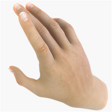 Image result for Female Hand 3D Modeling