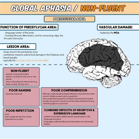 Severe Aphasia Example 的图像结果