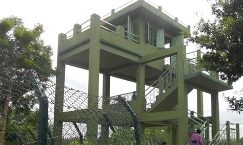 Important sightseen of Sundarban