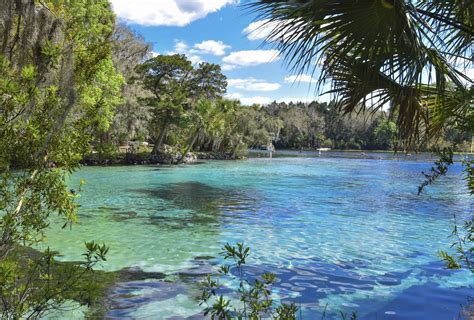 St. Johns River Florida: Exploring the Natural Wonders